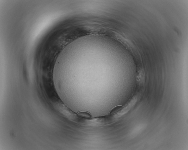 X0000113050430200909101943