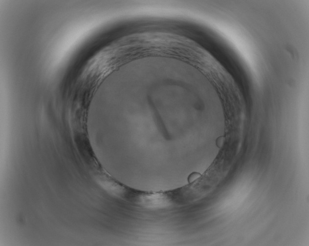 X0000113050431200909101943