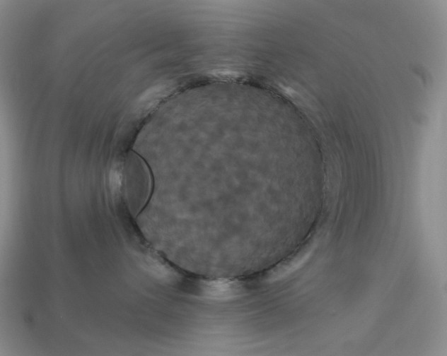 X0000113050432200909101943