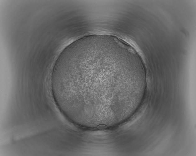 X0000113050433200909101942