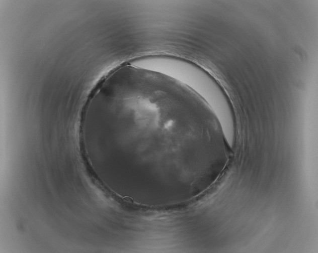 X0000113050434200909101942