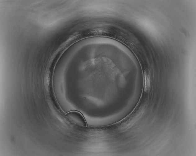 X0000113050435200909101942