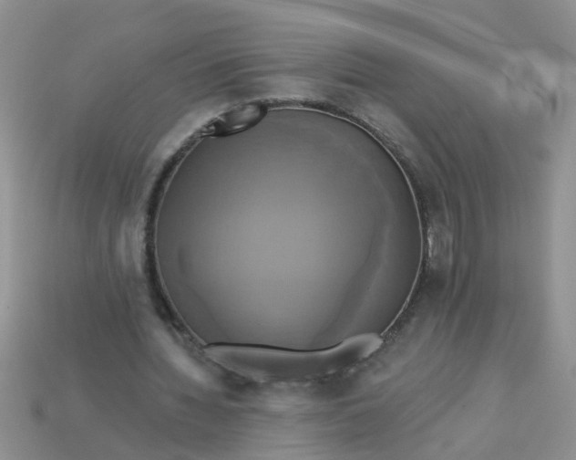 X0000113050436200909101942