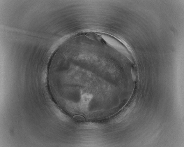 X0000113050437200909101943