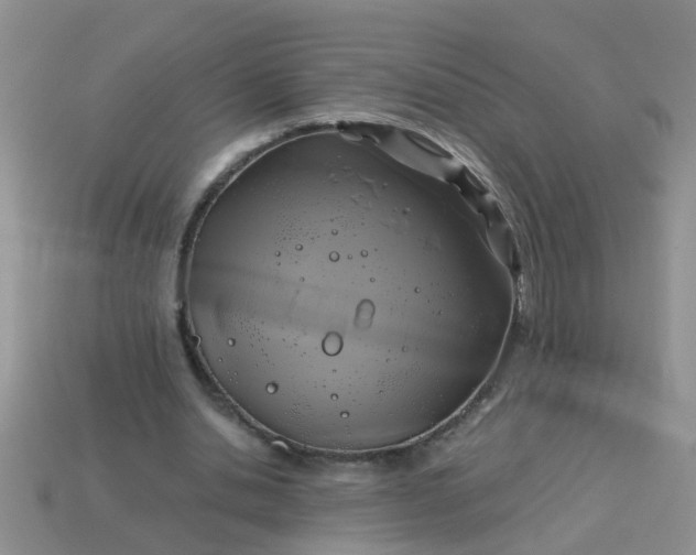 X0000113050438200909101943