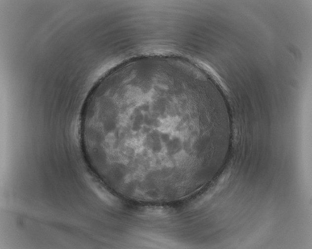 X0000113050439200909101943