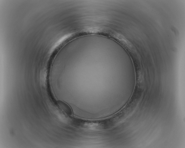 X0000113050440200909101943