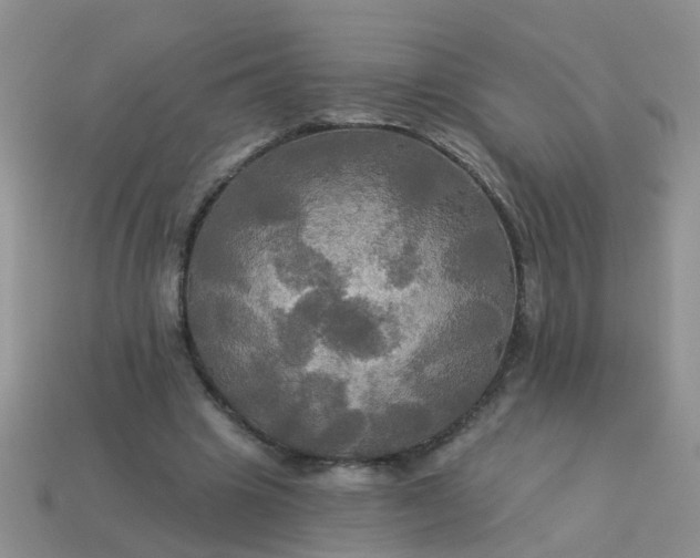 X0000113050441200909101943