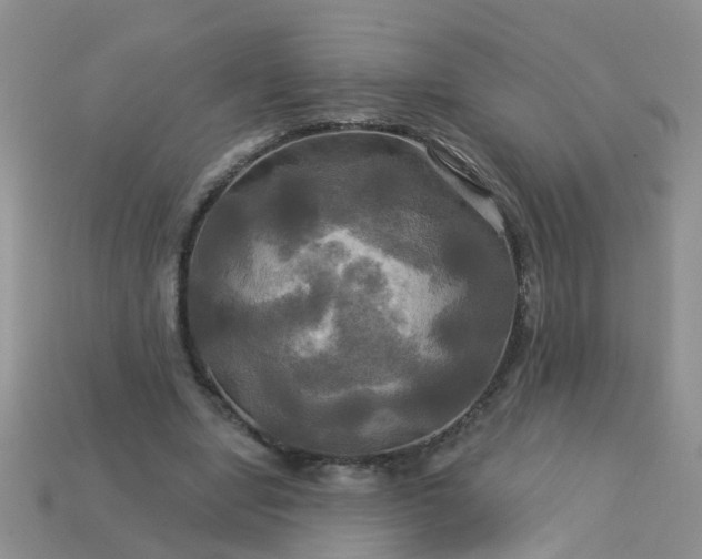 X0000113050442200909101943