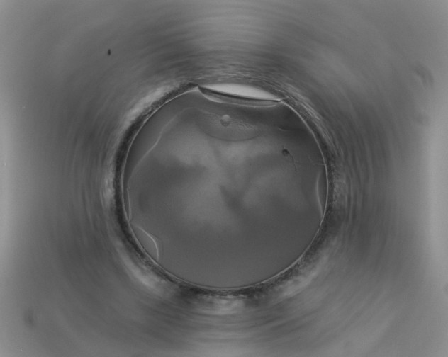 X0000113050443200909101943