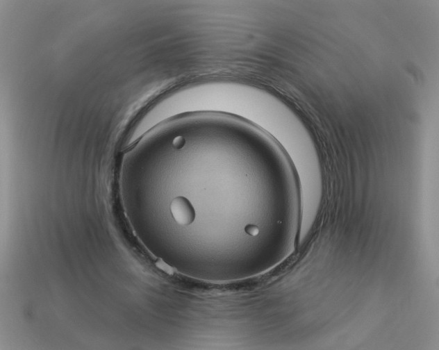 X0000113050444200909101943