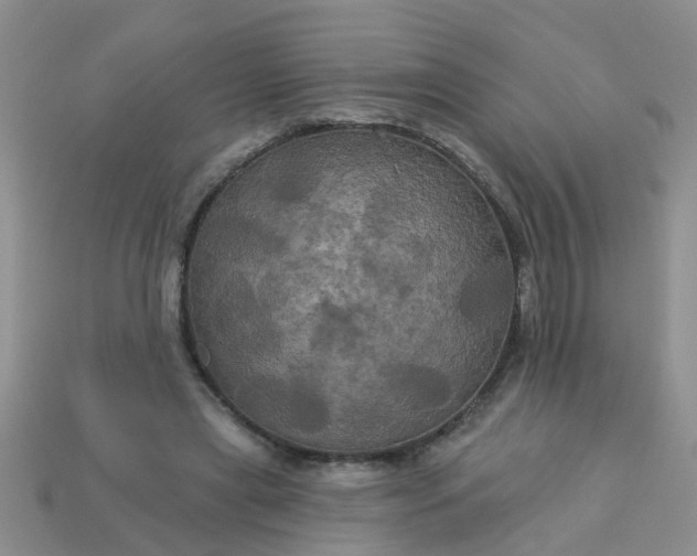 X0000113050445200909101943