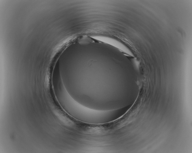 X0000113050446200909101943