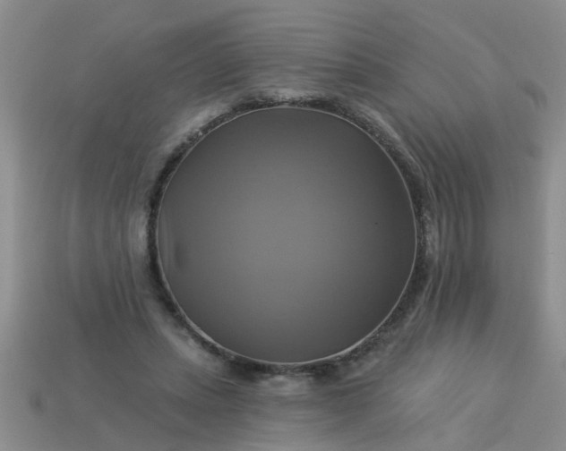 X0000113050447200909101943