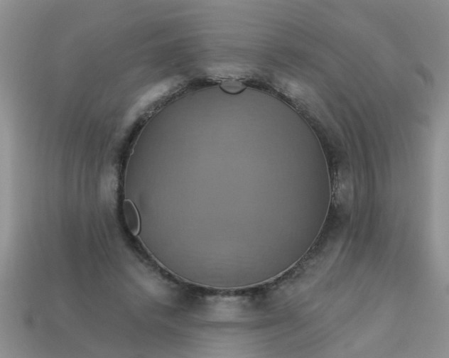 X0000113050448200909101943