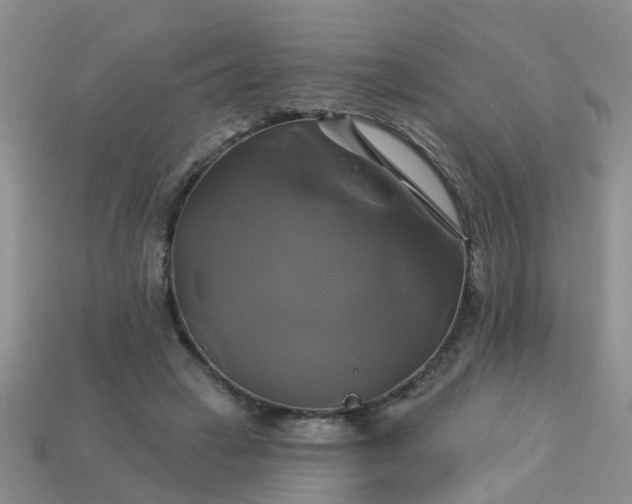 X0000113050449200909101943