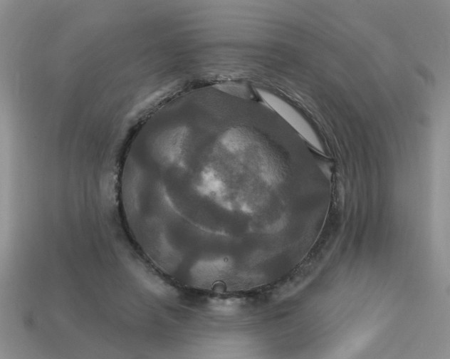 X0000113050450200909101943