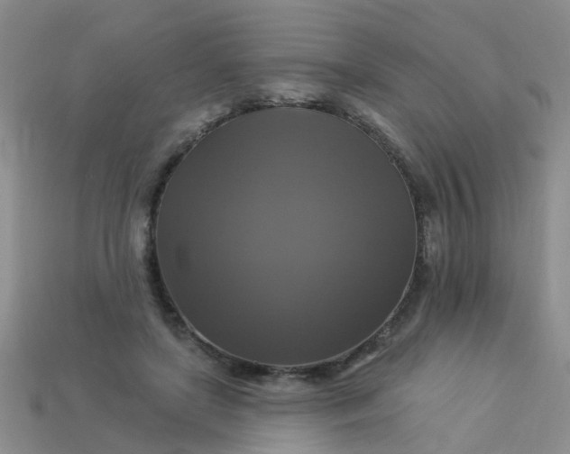 X0000113050451200909101943