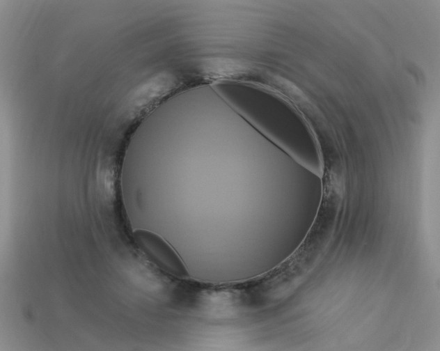 X0000113050452200909101943