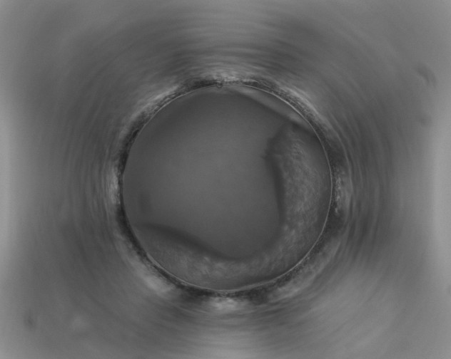 X0000113050453200909101943