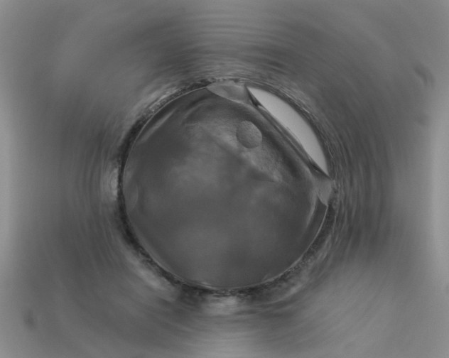 X0000113050454200909101943