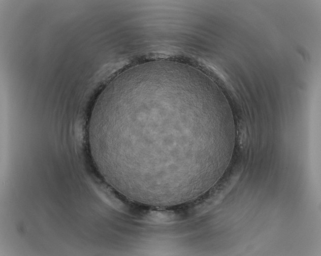 X0000113050455200909101943