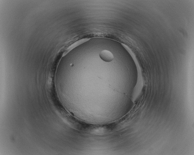 X0000113050456200909101943