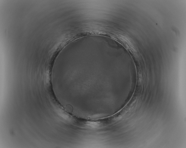 X0000113050457200909101943