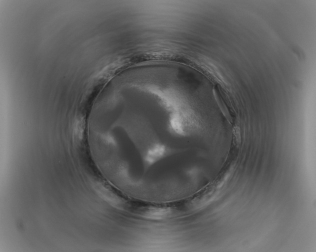 X0000113050458200909101943