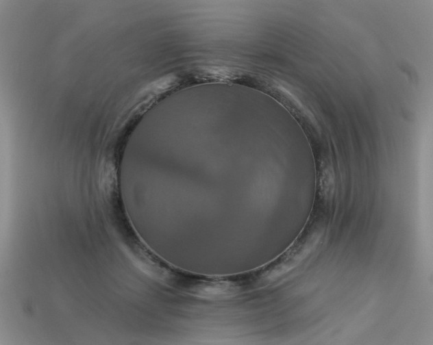 X0000113050459200909101943