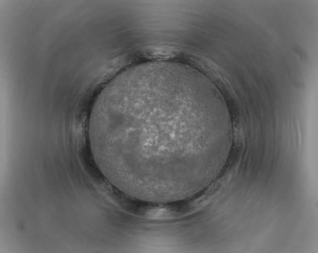 X0000113050460200909101943