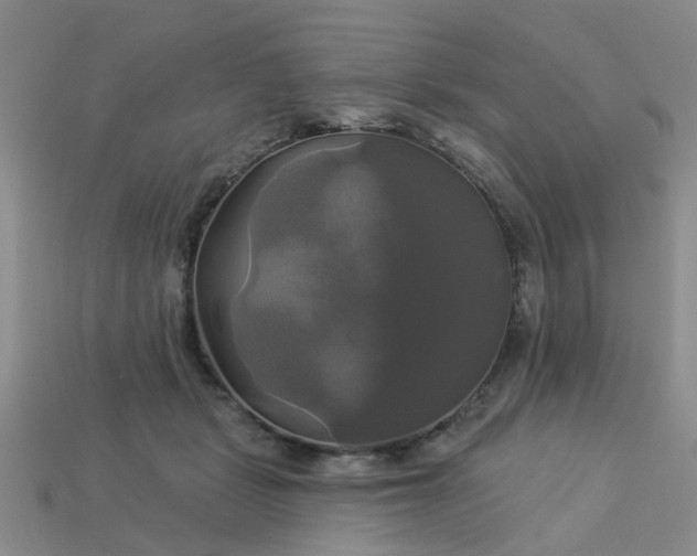 X0000113050461200909101943