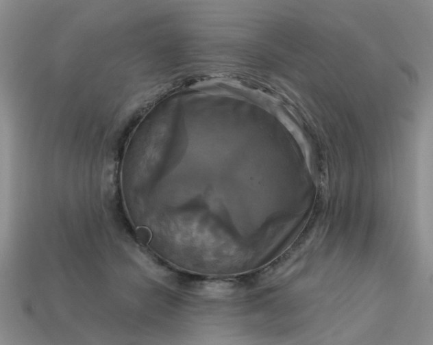 X0000113050462200909101943