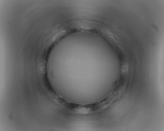 X0000113050464200909101943