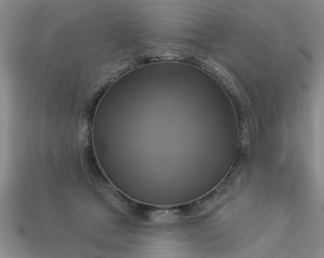 X0000113050465200909101943