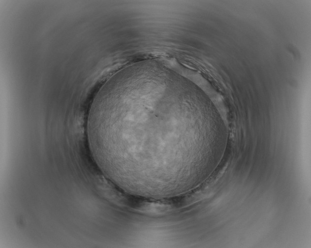 X0000113050466200909101943