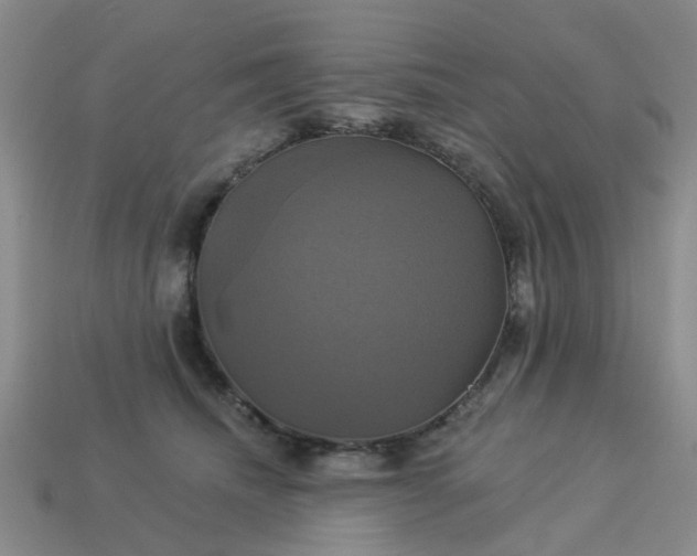 X0000113050468200909101943