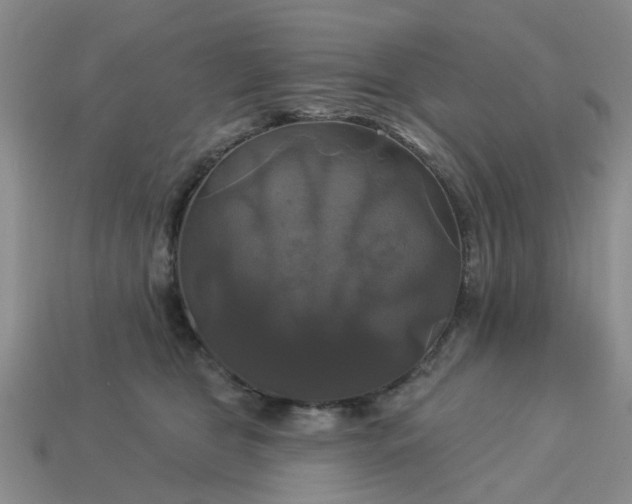 X0000113050469200909101943