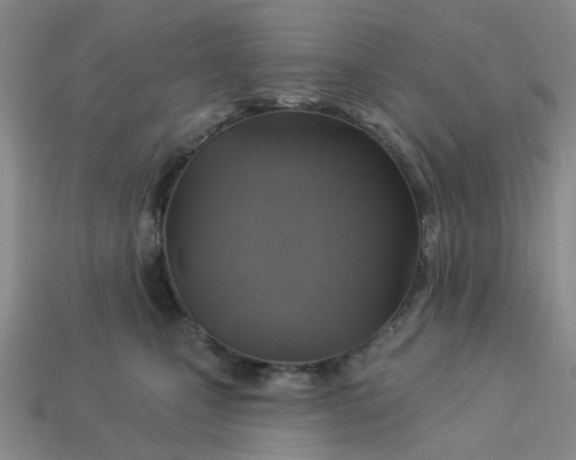 X0000113050471200909101943