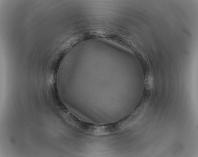 X0000113050472200909101943