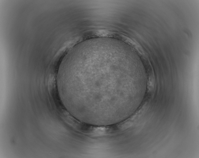 X0000113050473200909101943