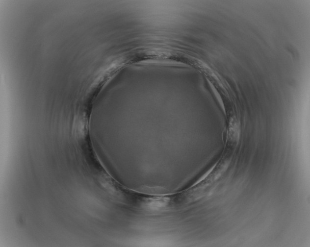 X0000113050474200909101943