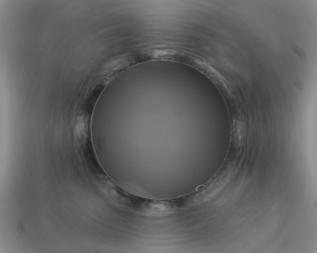 X0000113050475200909101943