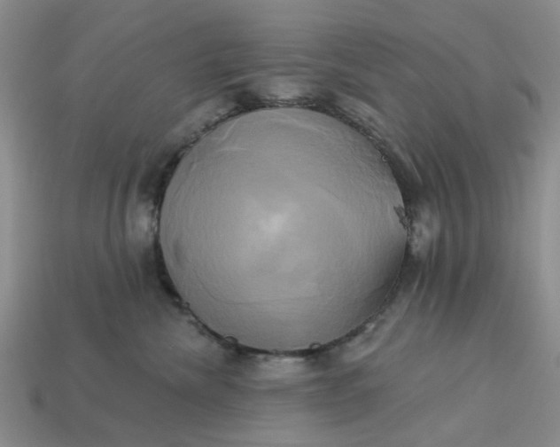 X0000113050476200909101943