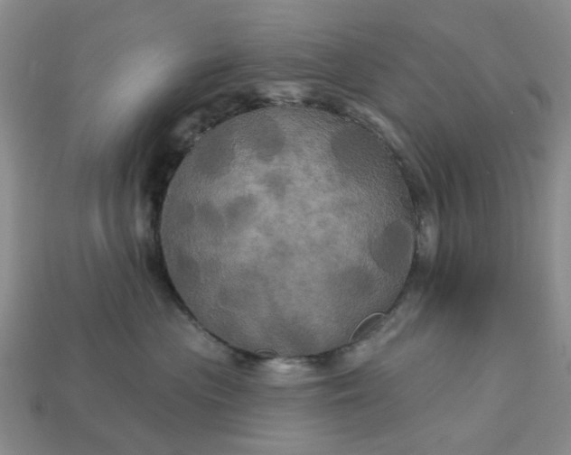 X0000113050477200909101943