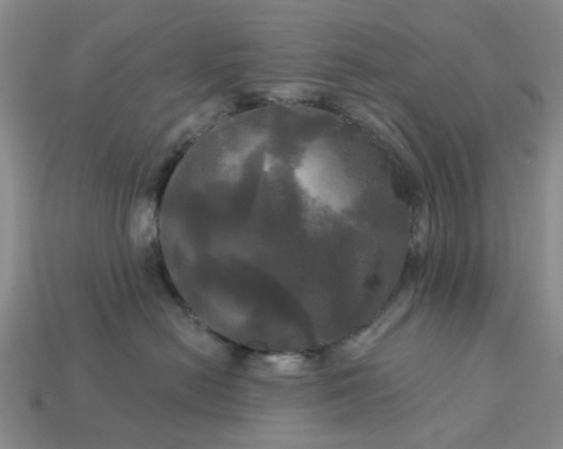 X0000113050478200909101943