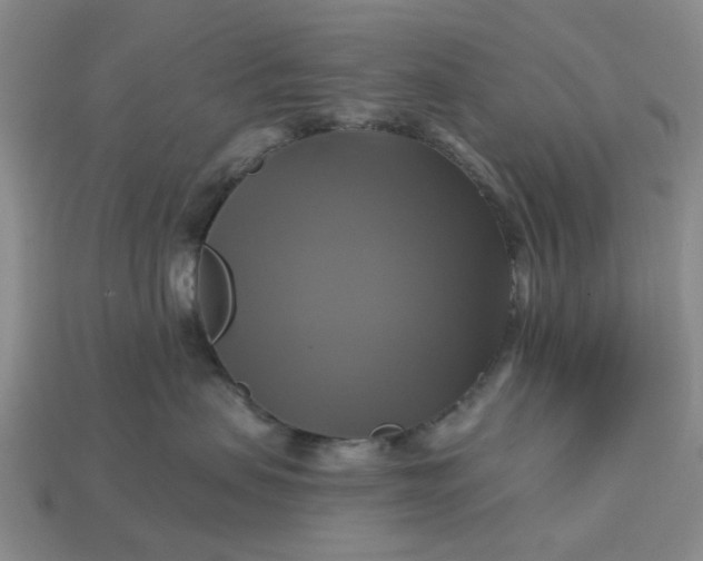 X0000113050479200909101943