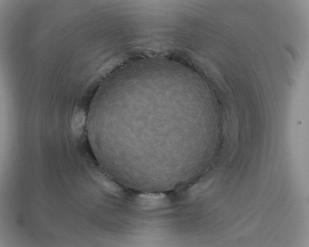 X0000113050480200909101943