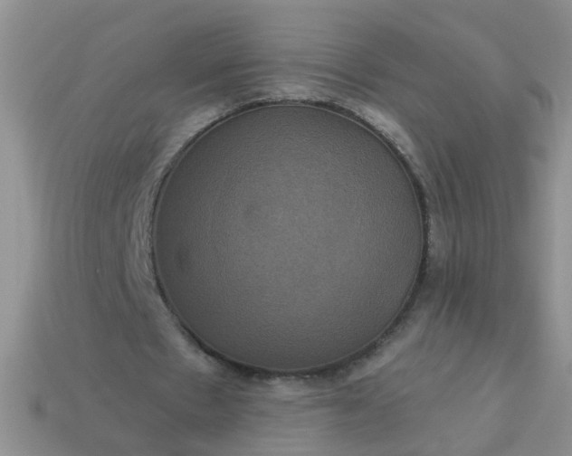 X0000113050481200909101942