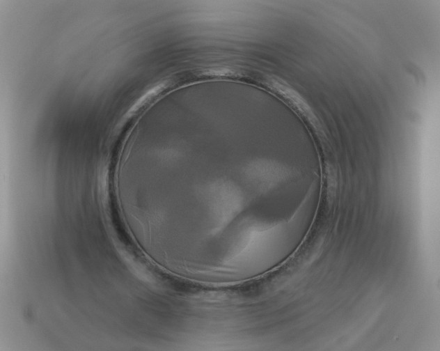 X0000113050482200909101942